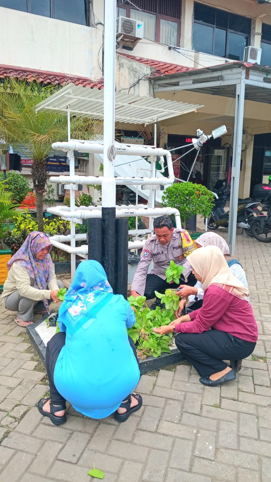 Bhabinkamtibmas Kel. Pinang Ranti tinjau dan lakukan pembinaan Poktan dalam Ketahanan Pangan