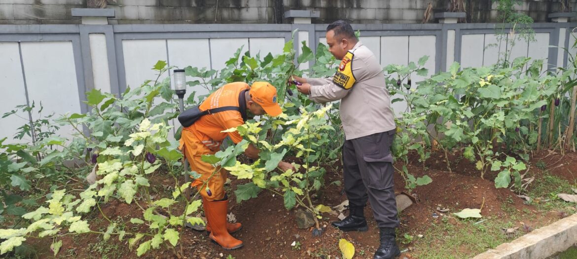 Pengecekan Lahan Ketahanan Pangan oleh Bhabinkamtibmas