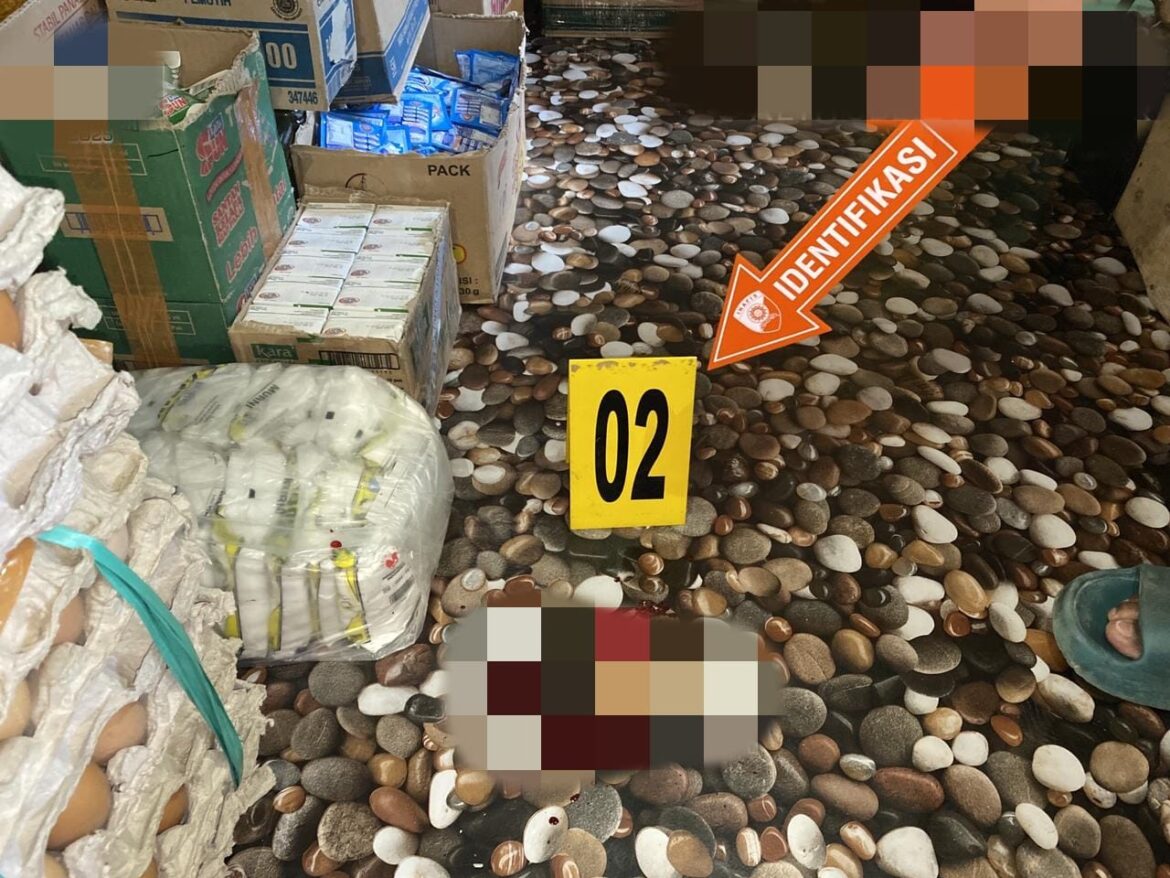 Warga Sipil Tewas Ditembak KKB di Intan Jaya, Satgas Ops Damai Cartenz Buru Pelaku